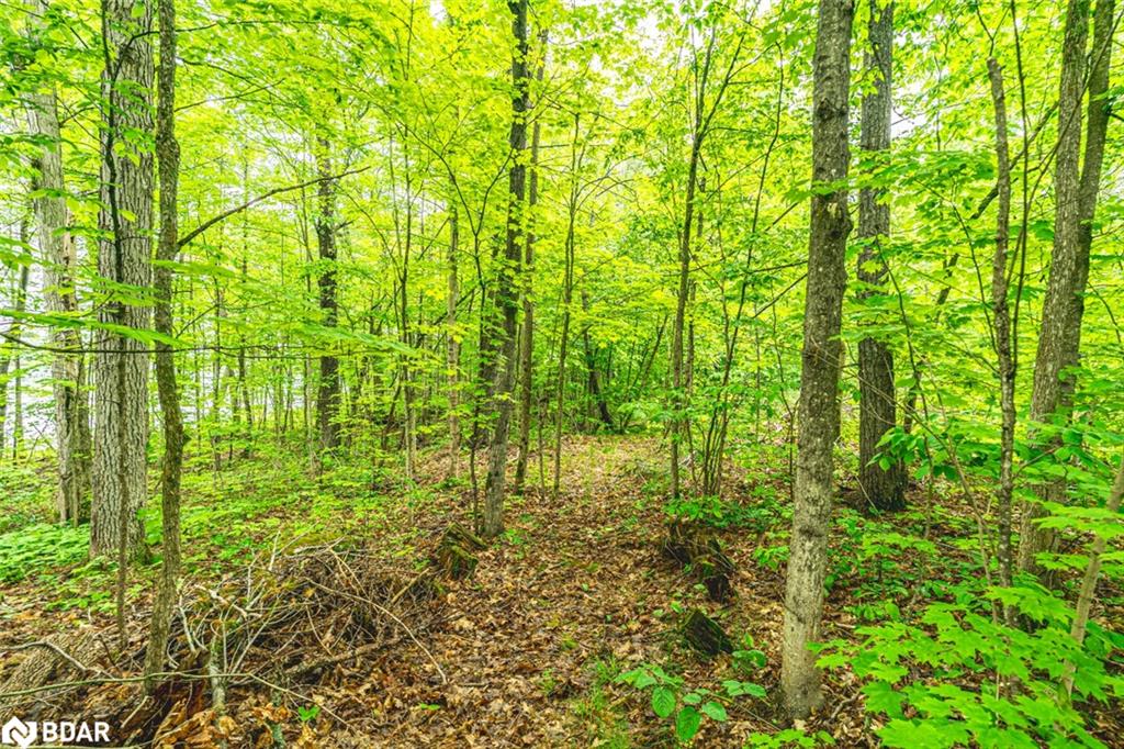 2 Is 880 Georgian Bay Property Photo 22