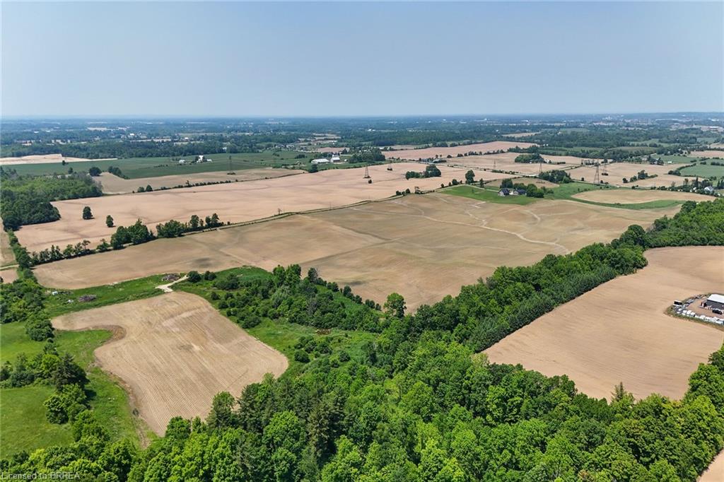 290 Mulligan Road