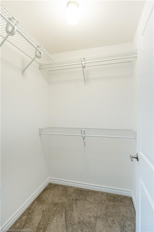 4878 Connor Drive Property Photo 29