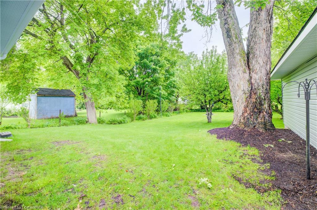 411 Powell Street Property Photo 35