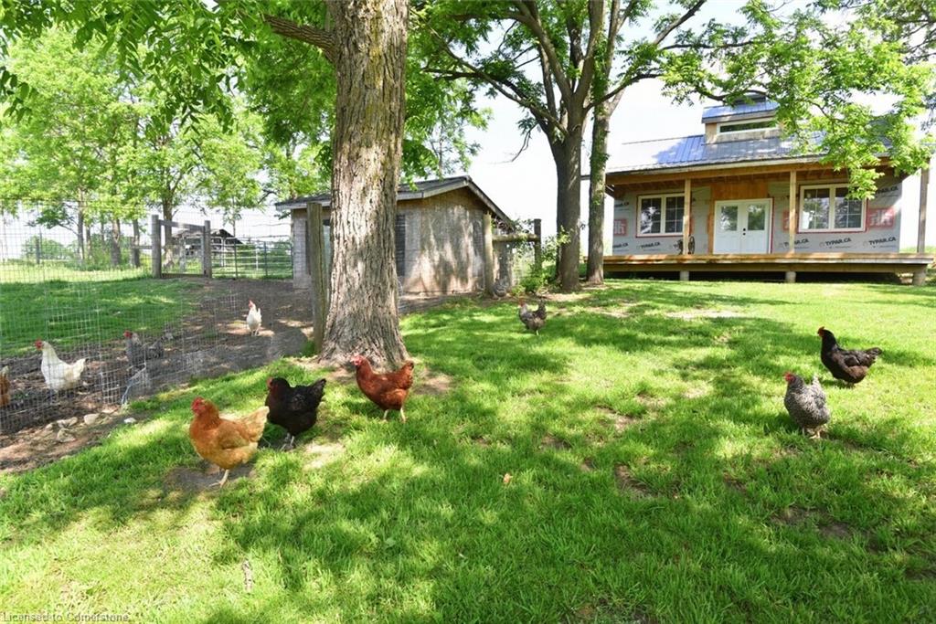 1344 Highway 8 Property Photo 33