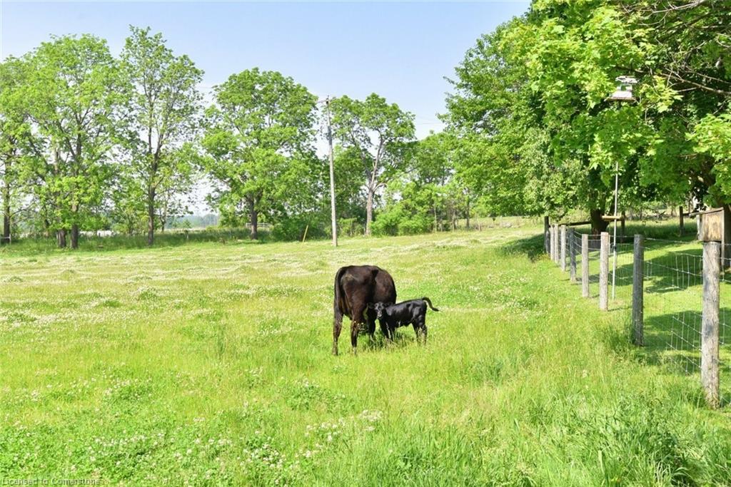 1344 Highway 8 Property Photo 43