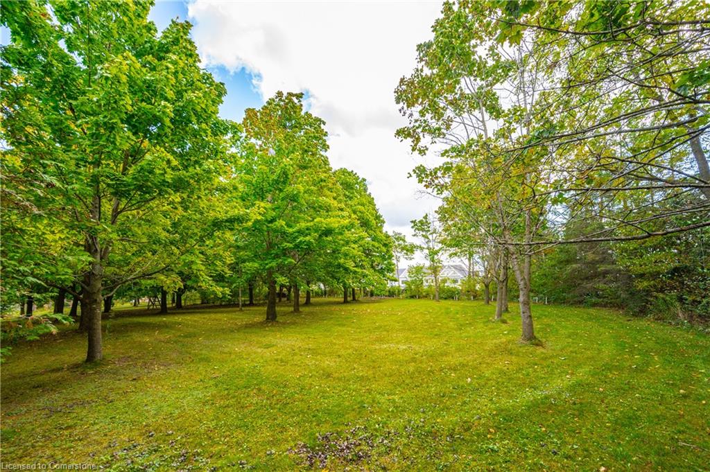 23a Gilkison Street Property Photo 1