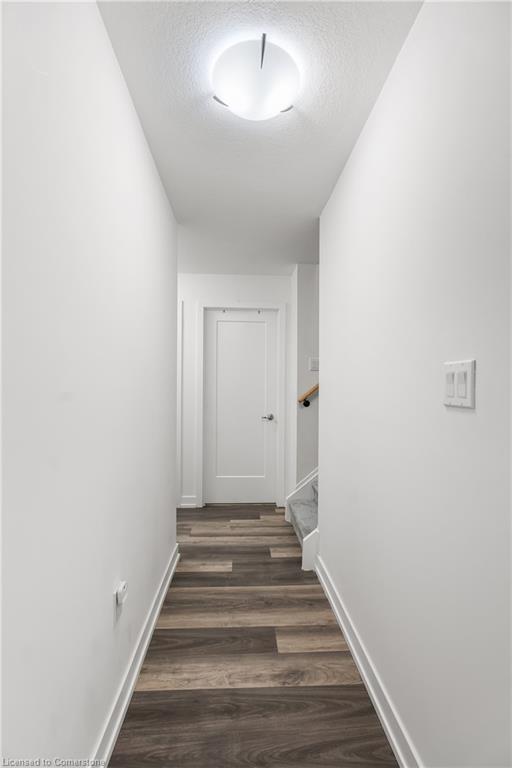 C12-10 Palace Street Property Photo 19