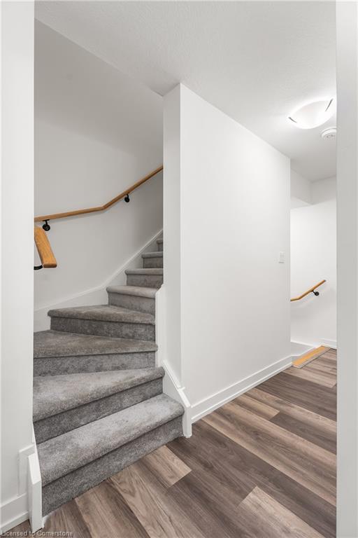 C12-10 Palace Street Property Photo 24