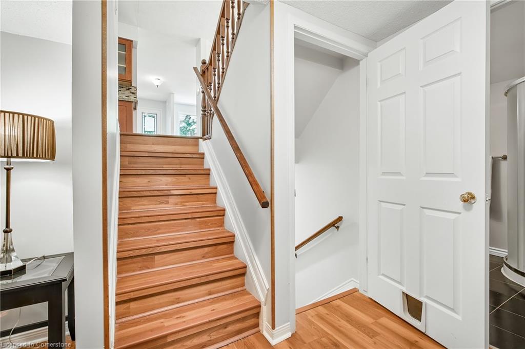 14 Ashridge Place Property Photo 40
