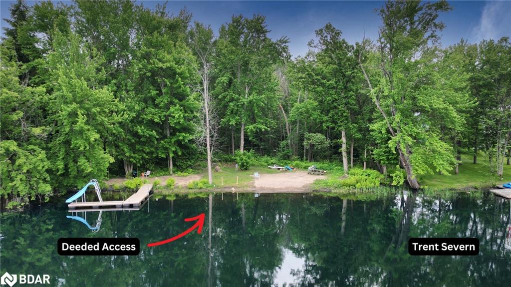 4557 Trent Trail Property Photo 4
