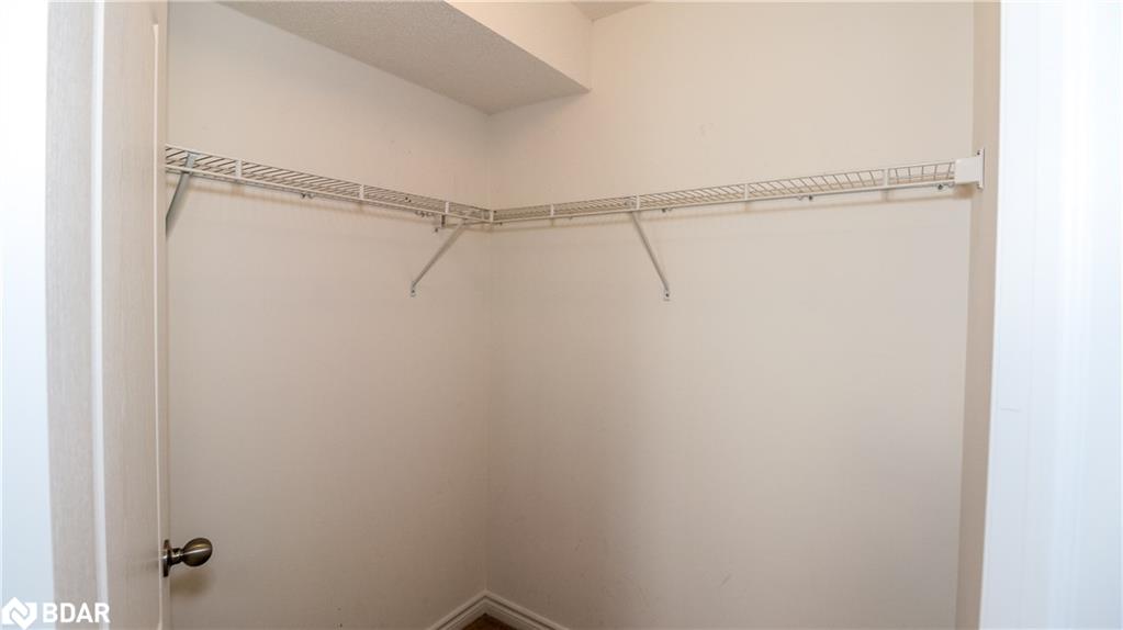 19-43 Coulter Street Property Photo 21