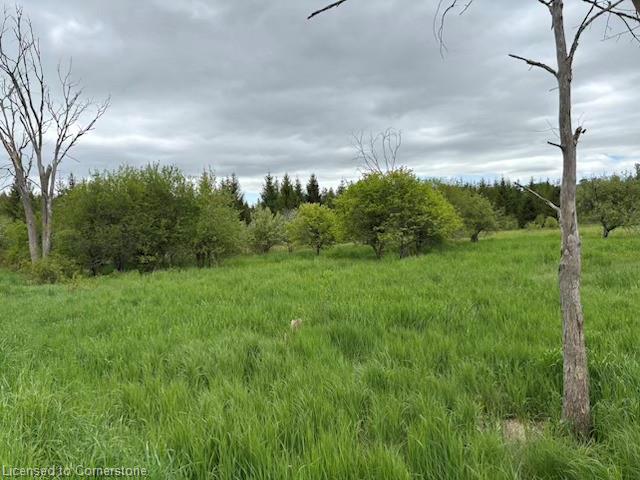 104264 Grey Road 18 Property Photo 7