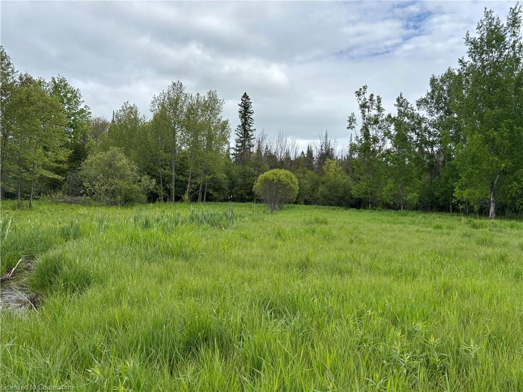 104264 Grey Road 18 Property Photo 13