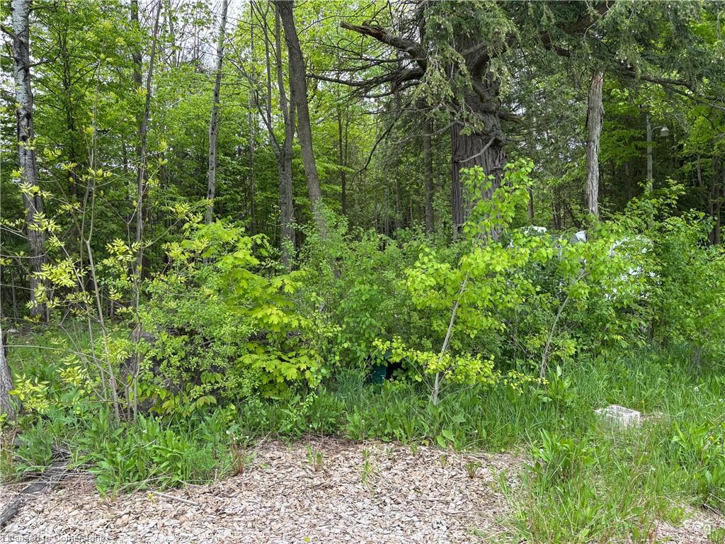104264 Grey Road 18 Property Photo 14