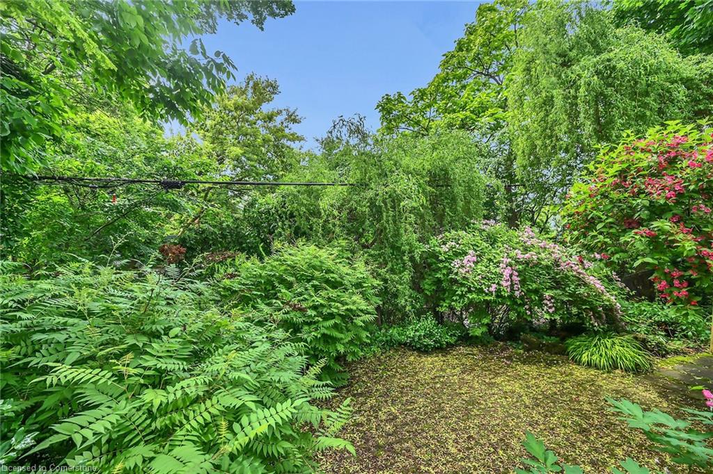 40 Undermount Avenue Property Photo 37