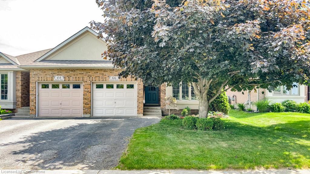 66 Hanlon Place