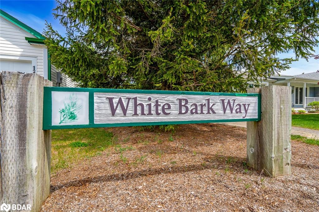32 White Bark Way Property Photo 3
