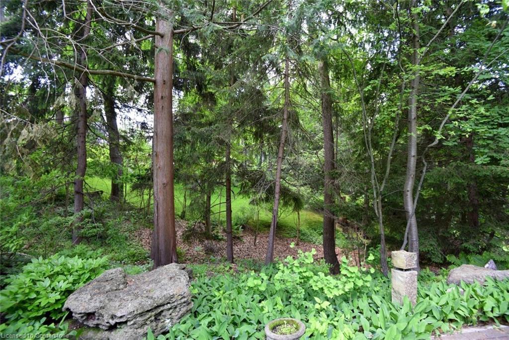 11 Oak Knoll Drive Property Photo 44