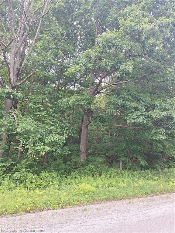 839 Windham Rd 12 Road Property Photo 2