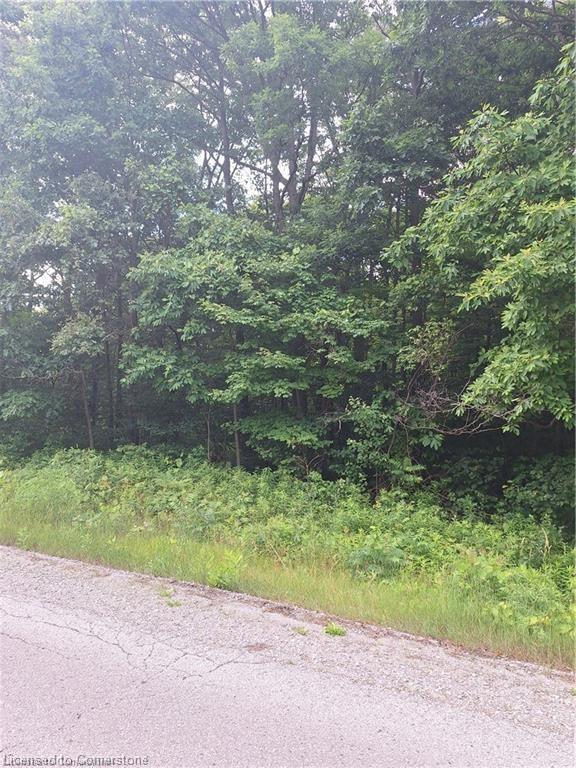 839 Windham Rd 12 Road Property Photo 3