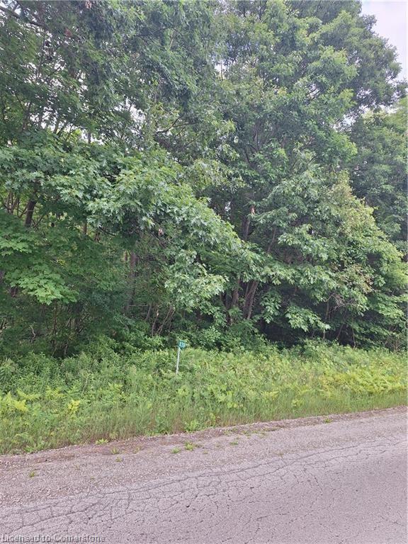 839 Windham Rd 12 Road Property Photo 4