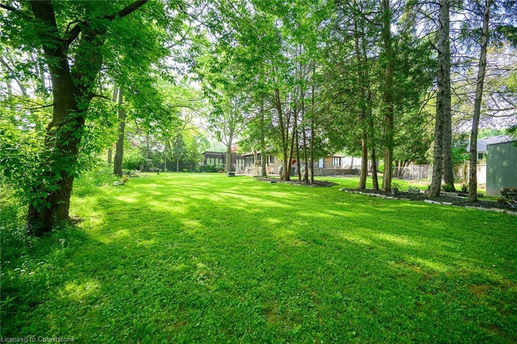 16 Freeland Court Property Photo 38