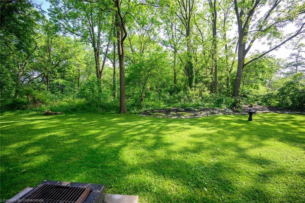 16 Freeland Court Property Photo 41