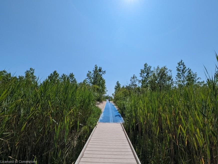 18 Addison Street Property Photo 36