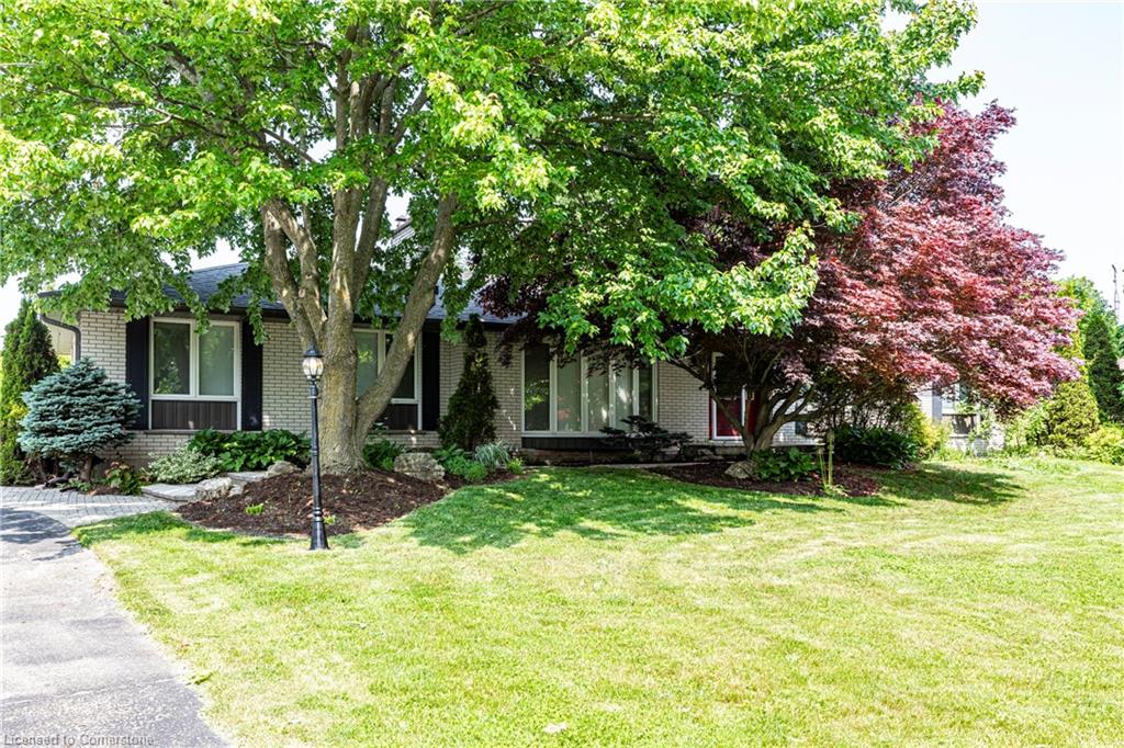 4245 Cedar Springs Road Property Photo 1