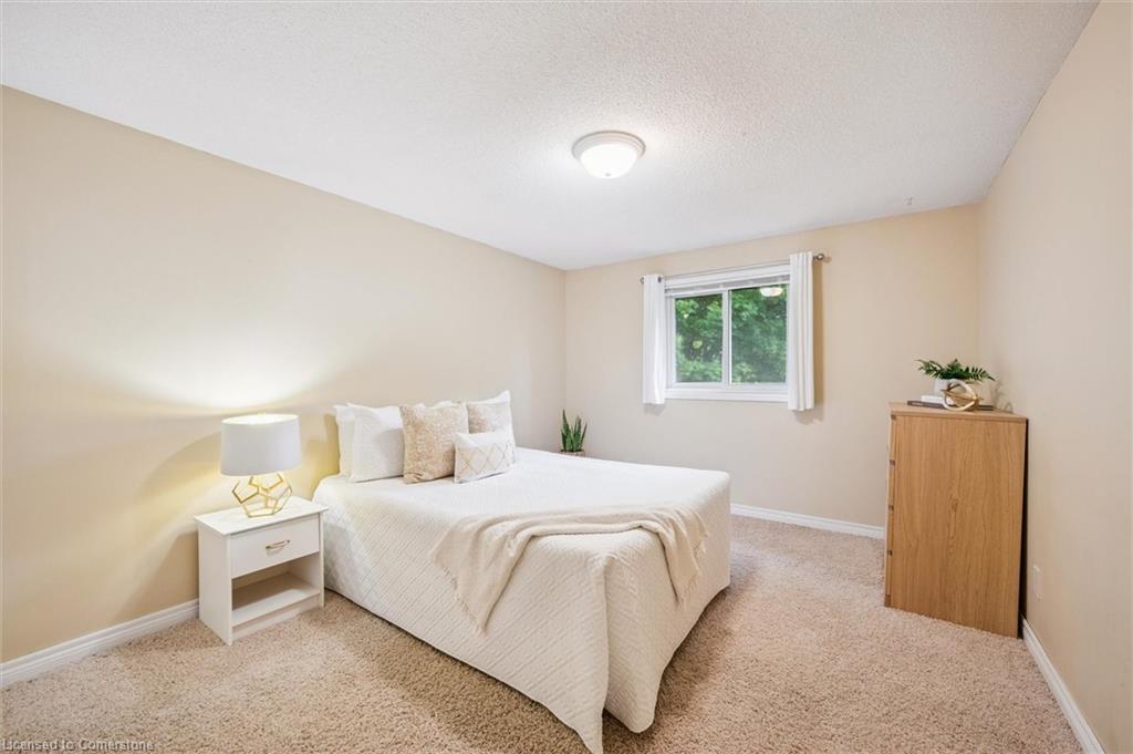 8 Youngman Drive Property Photo 22