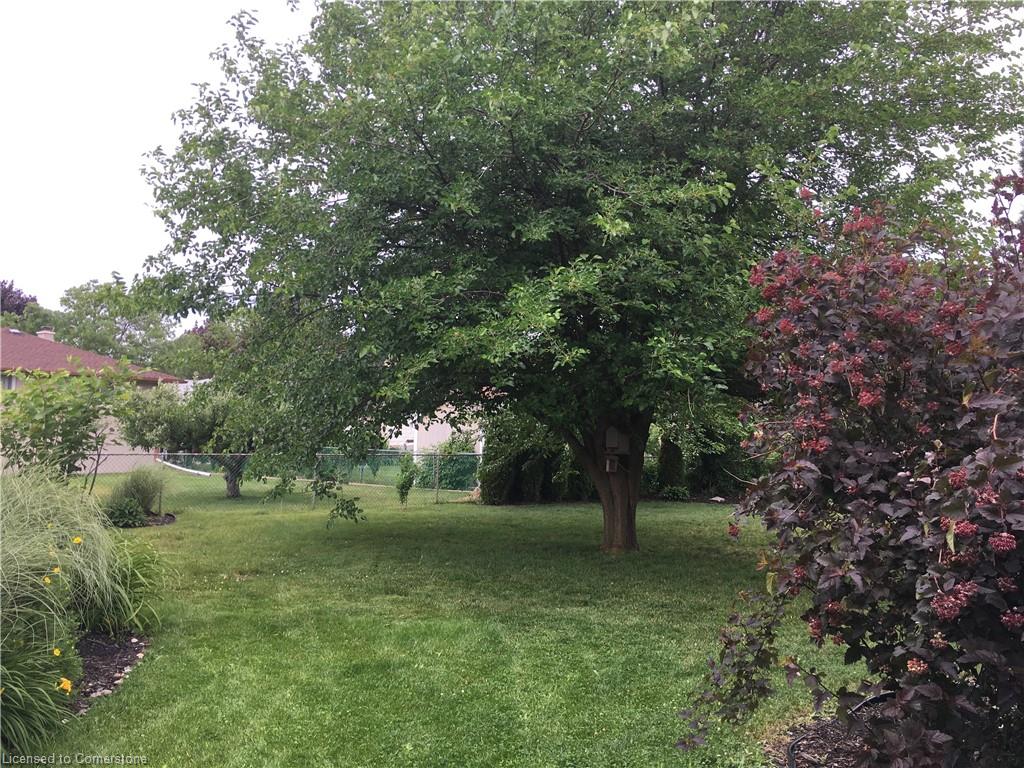 11 Wordsworth Place Property Photo 15