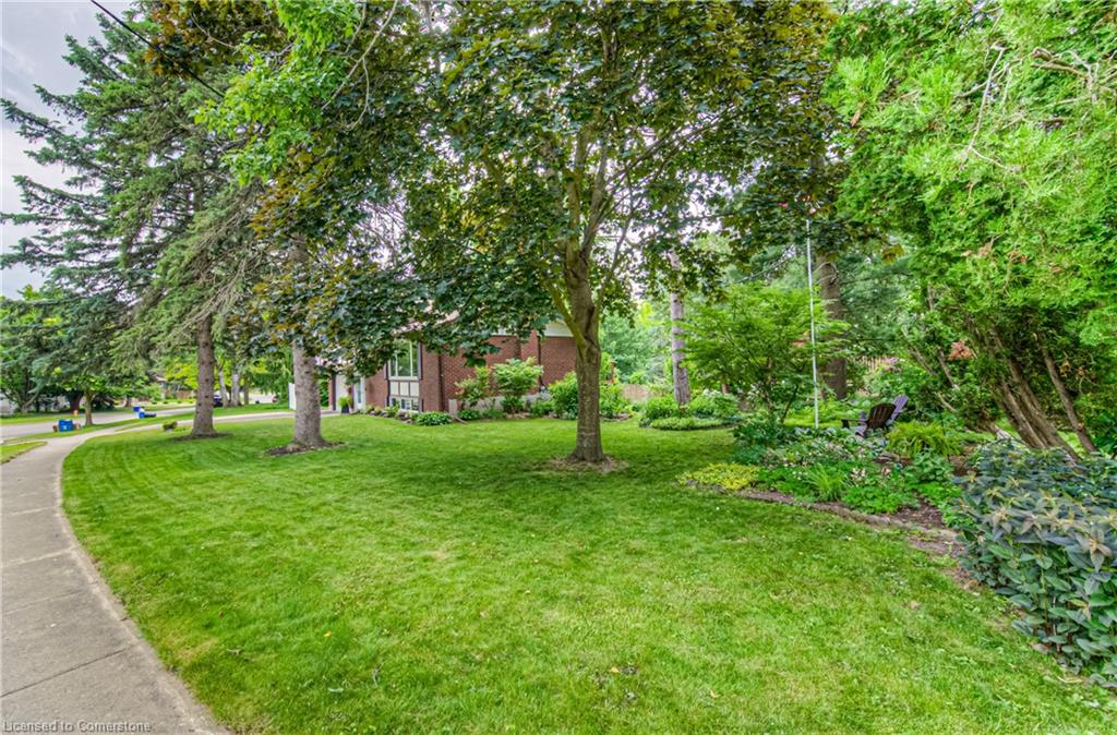45 Summit Avenue Property Photo 5
