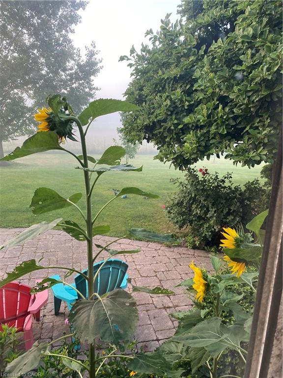 120 Pauline Johnson Road Property Photo 9