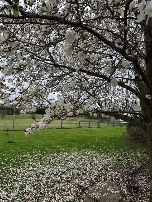 120 Pauline Johnson Road Property Photo 10