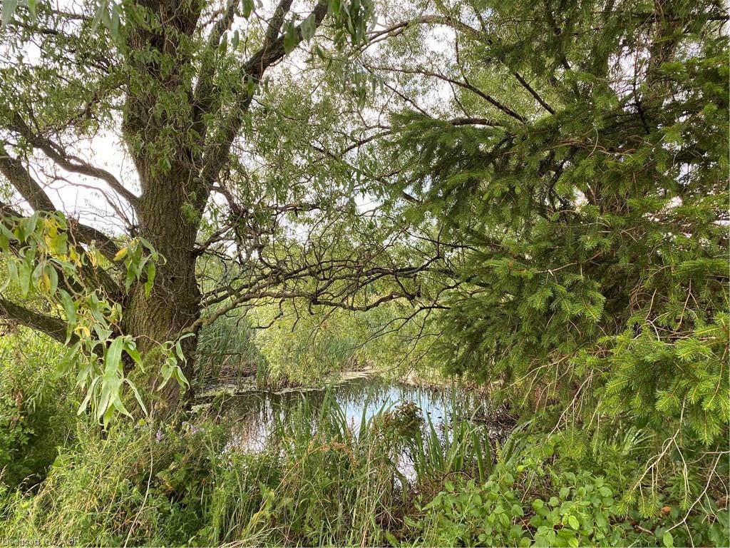 120 Pauline Johnson Road Property Photo 12