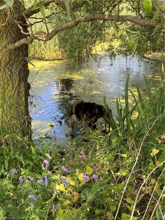 120 Pauline Johnson Road Property Photo 13