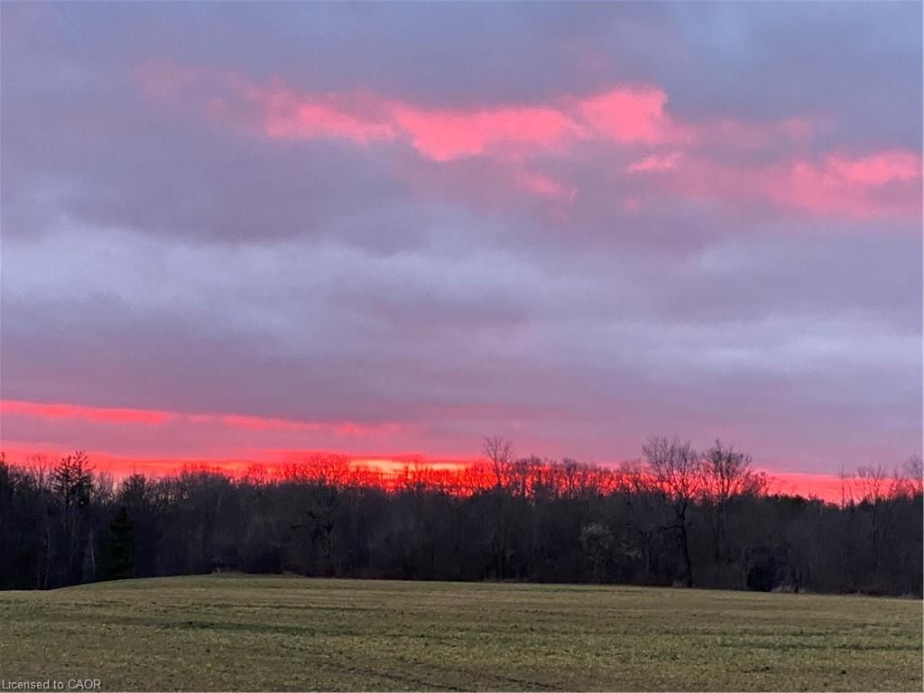 120 Pauline Johnson Road Property Photo 31