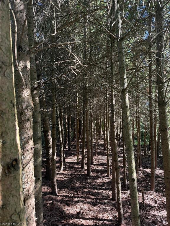 120 Pauline Johnson Road Property Photo 35