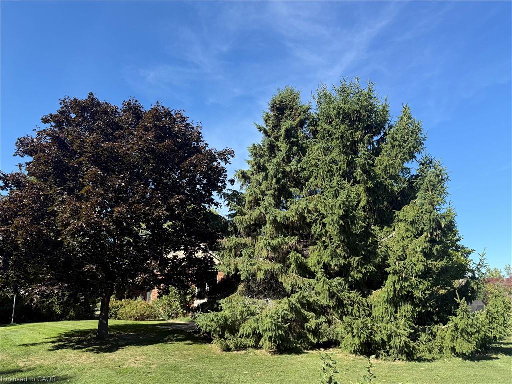 120 Pauline Johnson Road Property Photo 36