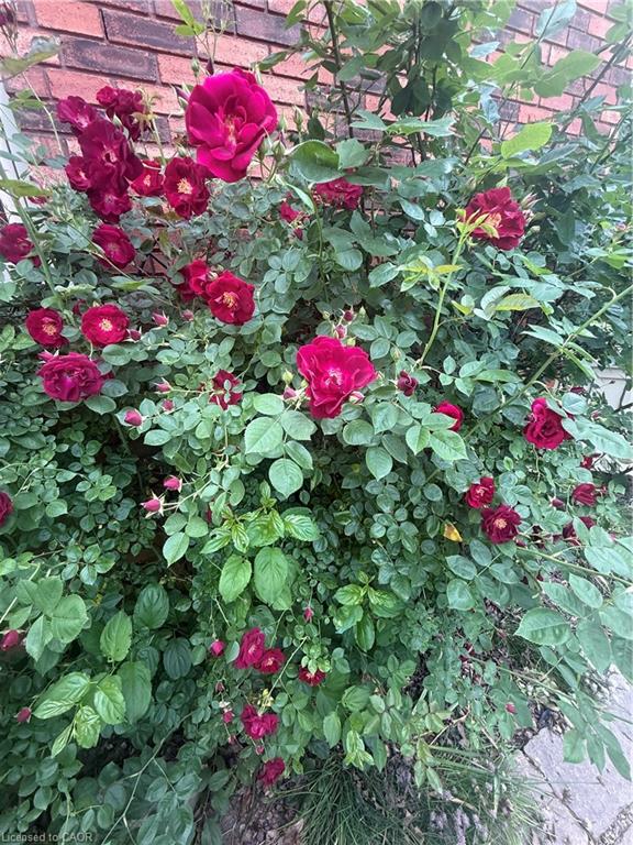 120 Pauline Johnson Road Property Photo 39