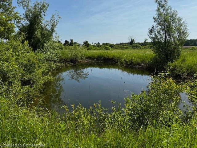 27887 Highway 48 Property Photo 22