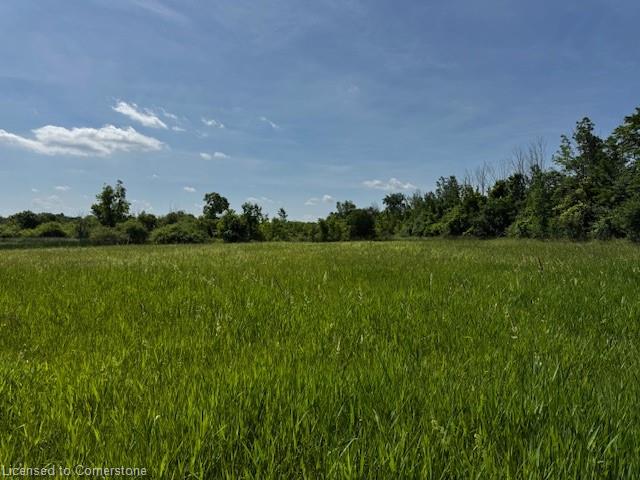 27887 Highway 48 Property Photo 23