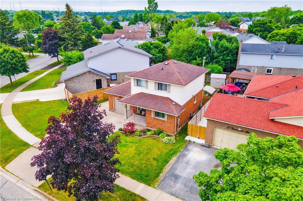 59 Commerford Street Property Photo 38