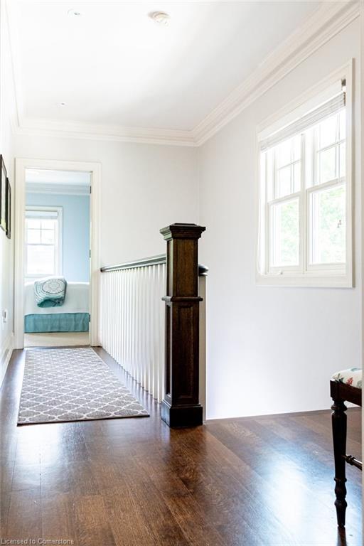 44 Head Street Property Photo 31