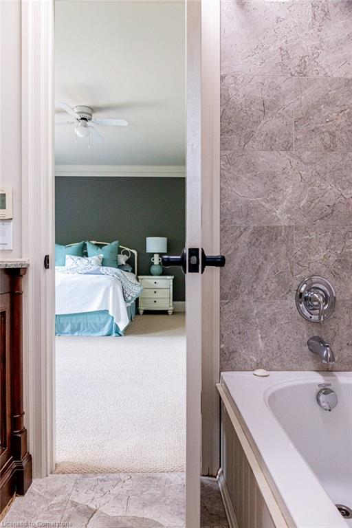 44 Head Street Property Photo 34