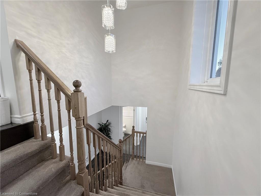 95 Indigo Street Property Photo 17