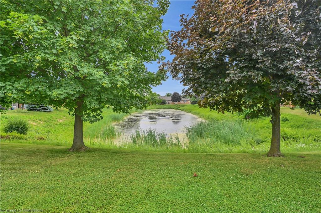 23 Northernbreeze Street Property Photo 31