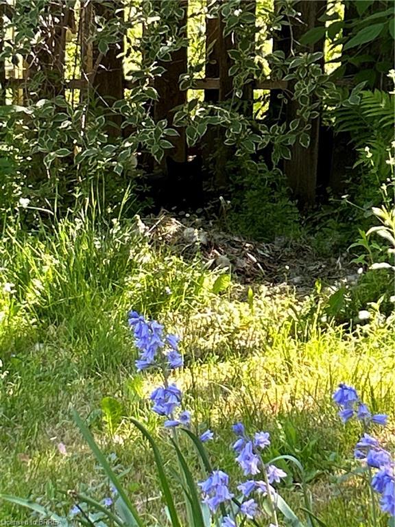 3852 Roxborough Avenue Property Photo 19