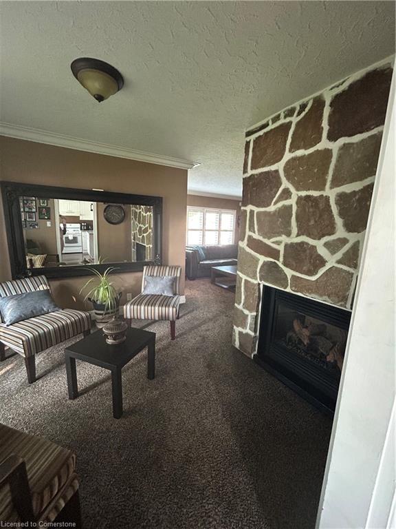 34 Queensway Drive Property Photo 17