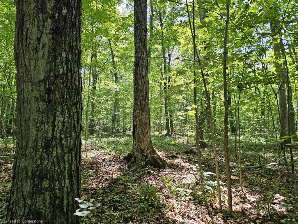 404302 Concession 20 Property Photo 26