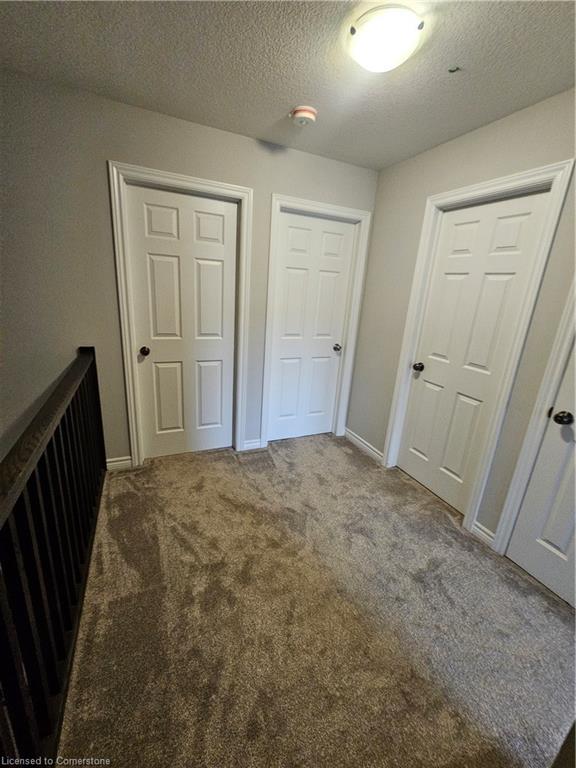37 Munch Avenue Property Photo 20