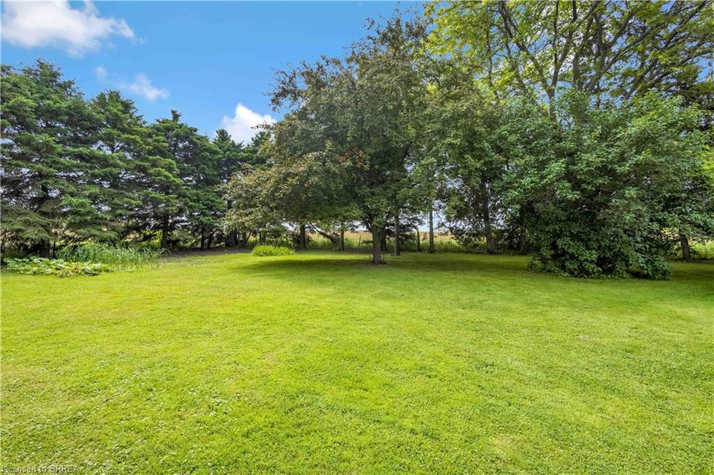 2246 County Line 74 Property Photo 17