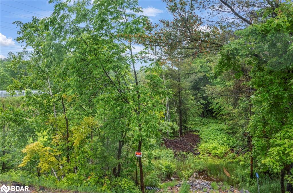 1001 Woodroffe Road
